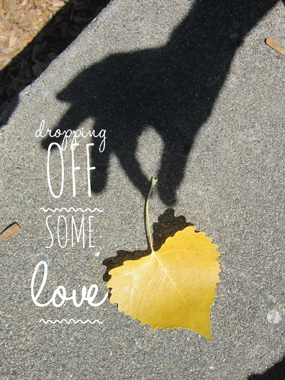 love, leaf, nature-1449763.jpg